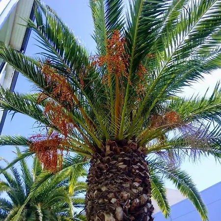 Fasthotel بيربينيو